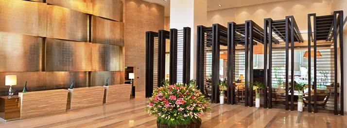 968/Hilton Garden Inn Gurgaon Baani Square - Gurgaon 03.jpg